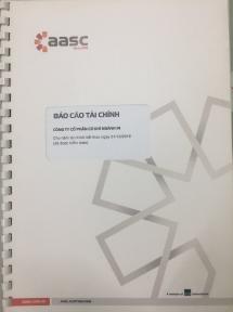 BCTC kiểm toán năm 2017